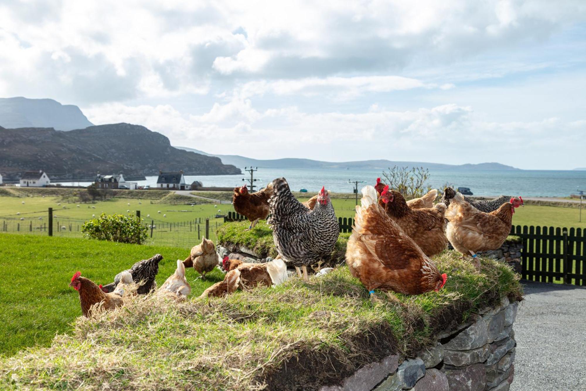Croft Cottage Ullapool Esterno foto